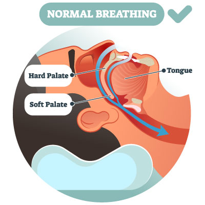 normal breathing during sleep